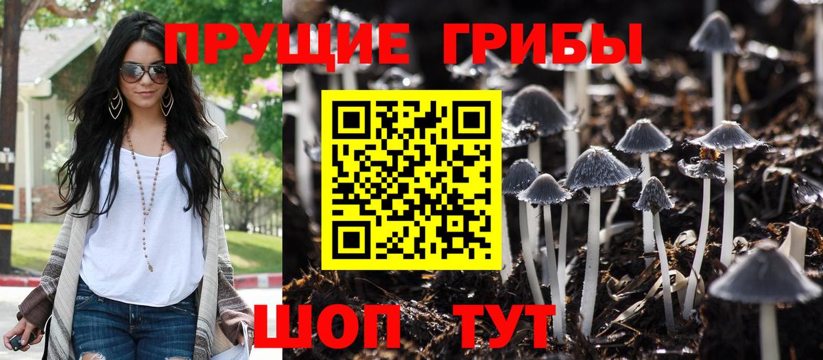 МАРИХУАНА  COCAIN  Альфа ПВП СК кристаллы  Ярославль  Вход с VPN  МЕФ кристаллы  ГАШ  МЕТАМФЕТАМИН 