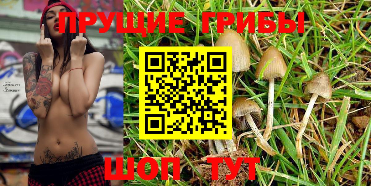 Псилоцибиновые грибы Magic Shrooms Ярославль