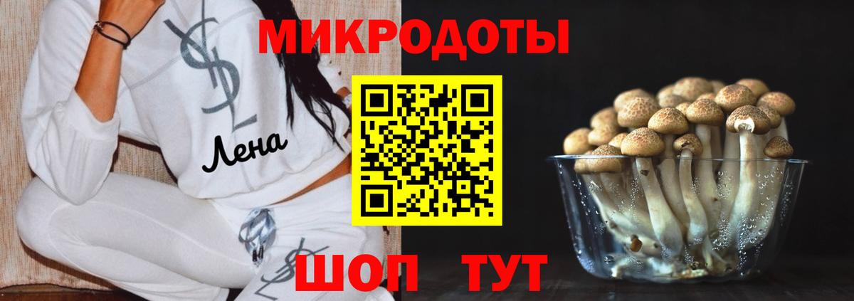 наркошоп  Вход с VPN  Псилоцибиновые грибы GOLDEN TEACHER  Ярославль  Псилоцибиновые грибы ЛСД 